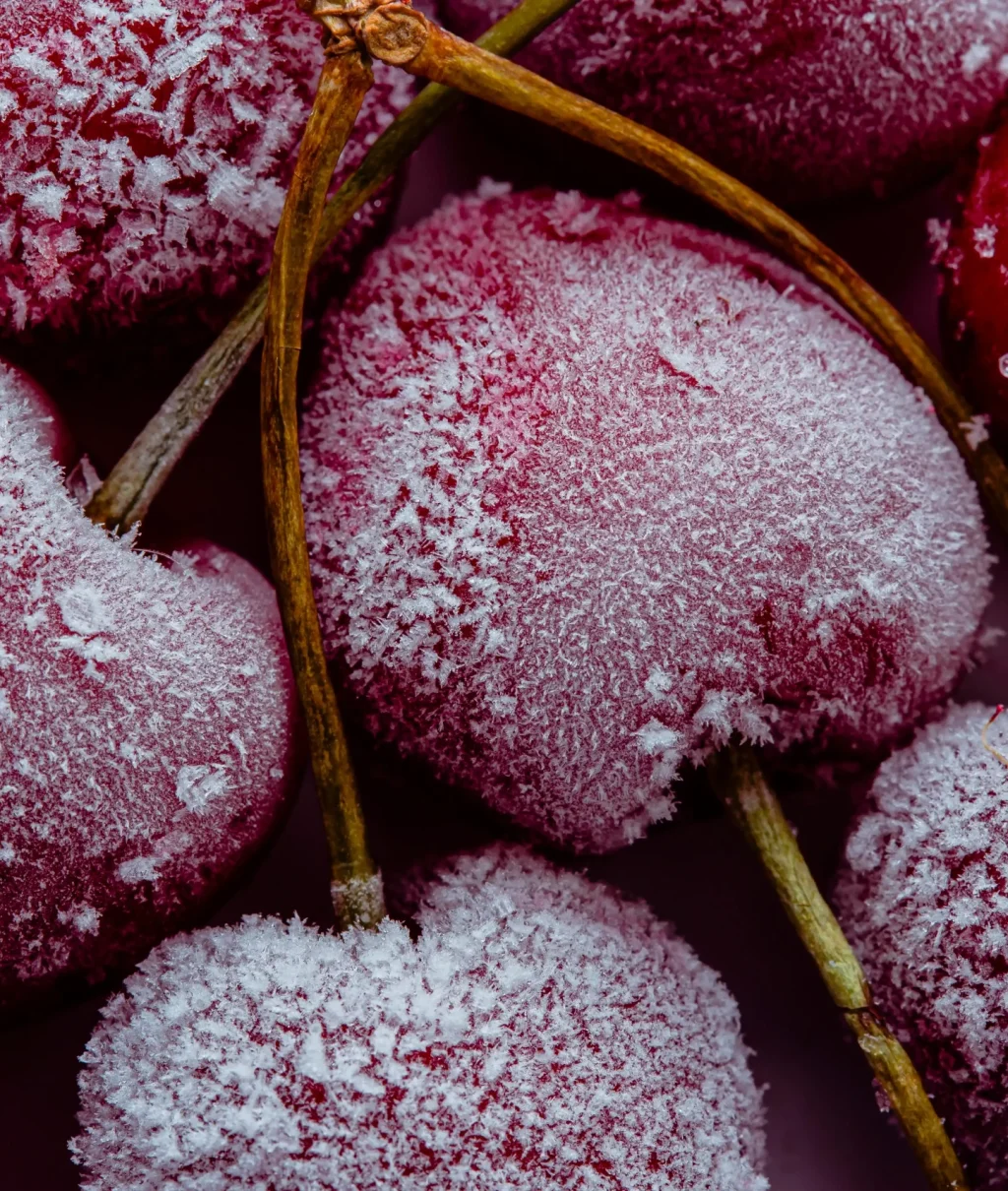 arreglo-macro-de-frutas-congeladas(1)_11zon_11zon arreglo-macro-de-frutas-congeladas(1)_11zon_11zon