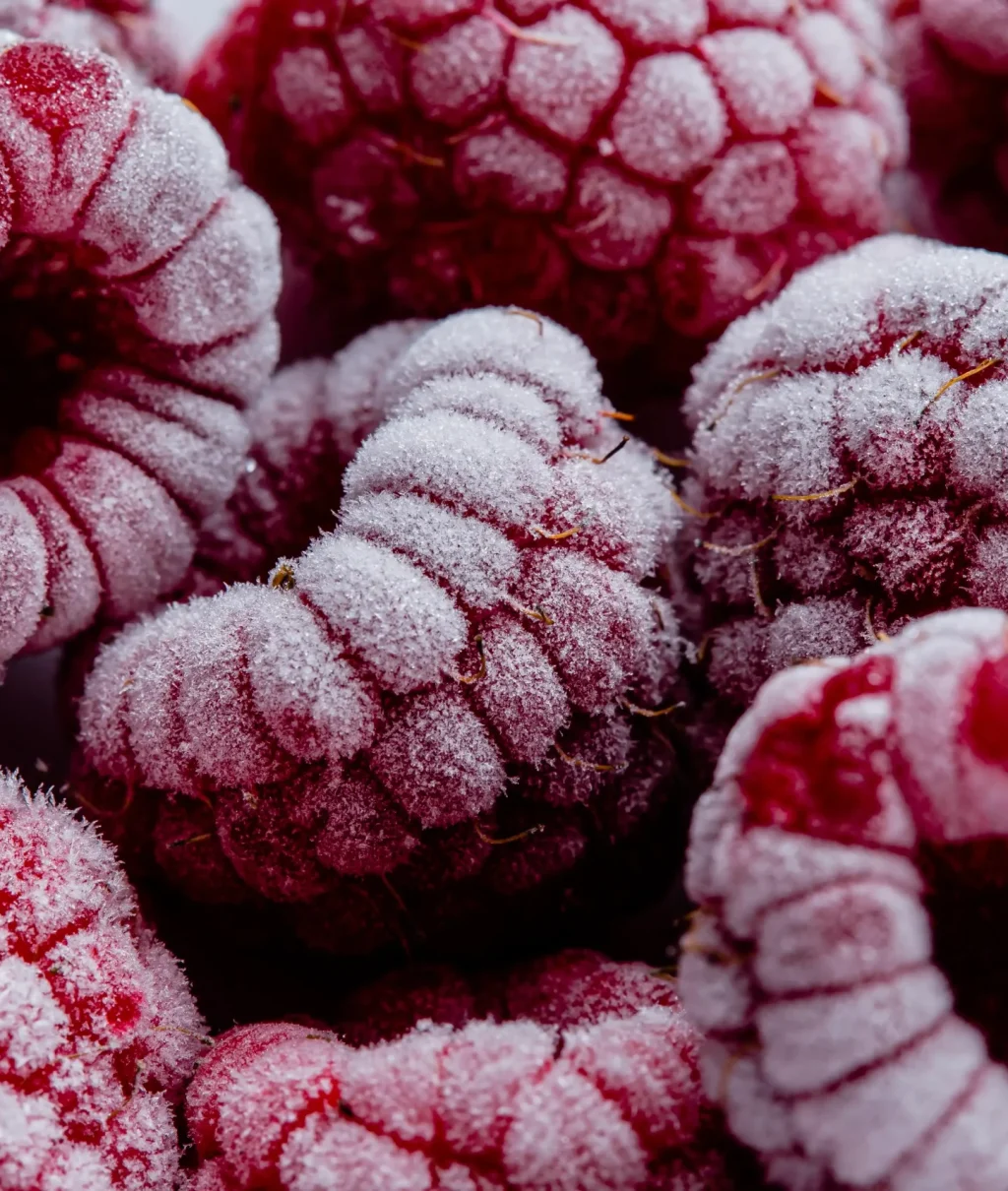 arreglo-macro-de-frutas-congeladas_11zon_11zon arreglo-macro-de-frutas-congeladas_11zon_11zon